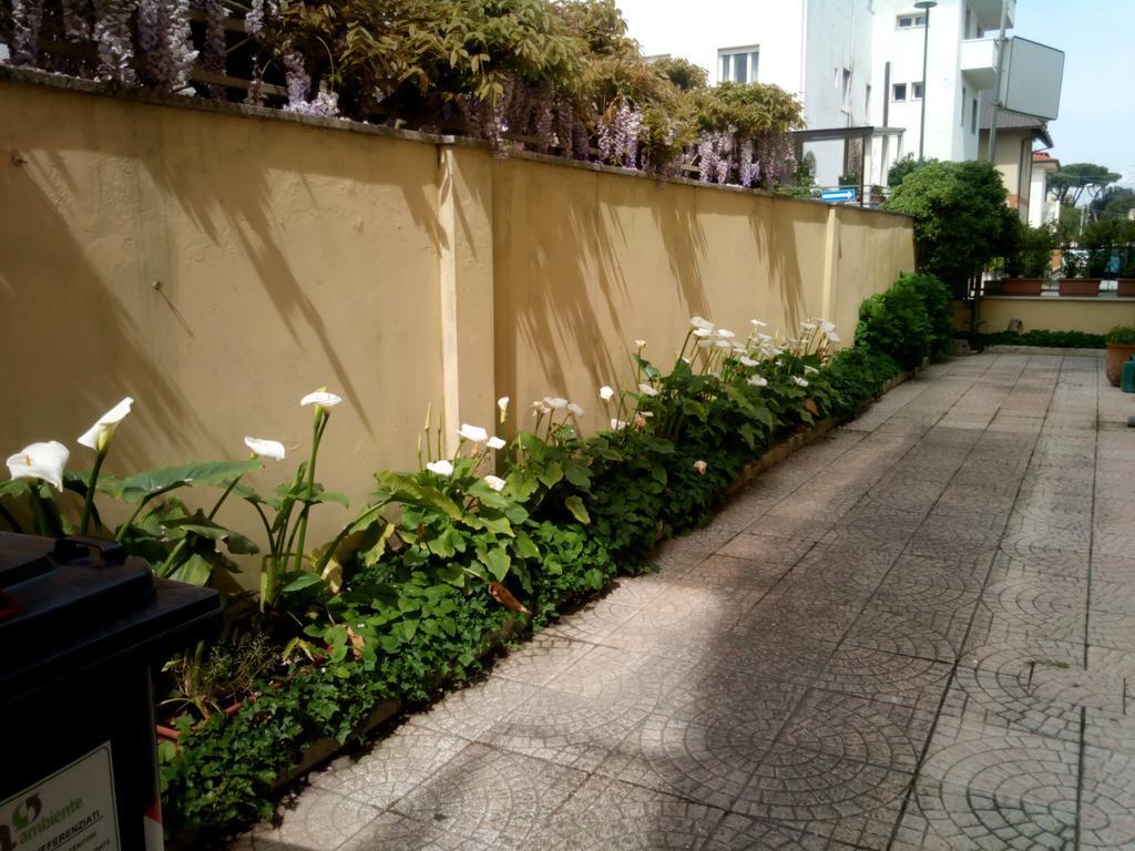 Hotel Margot Lido di Camaiore Exterior photo